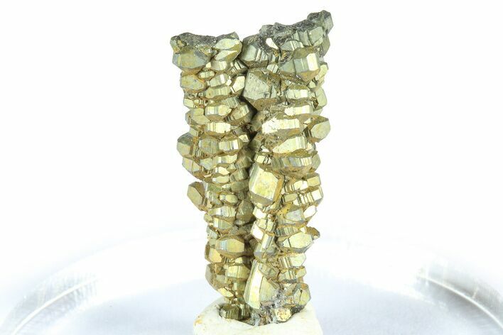 Glistening Marcasite Crystal Stalactite - Linwood Mine, Iowa #372135